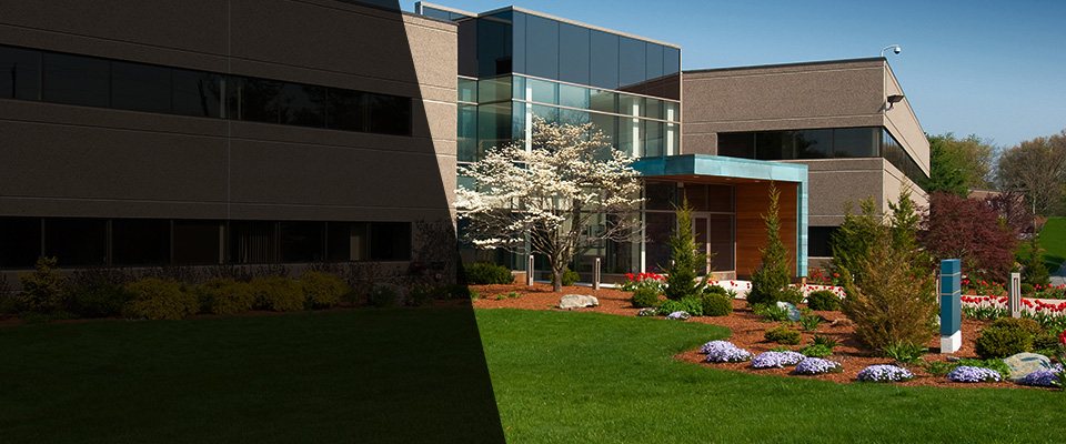 Saint Bernard Landscapers