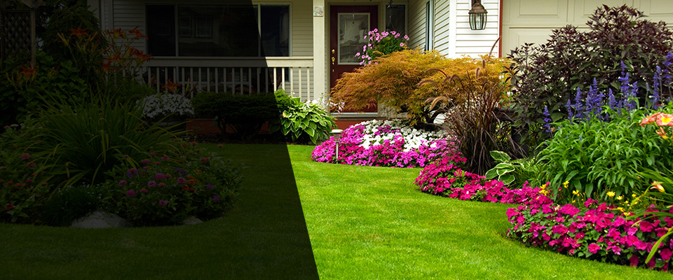 Saint Bernard Landscapers