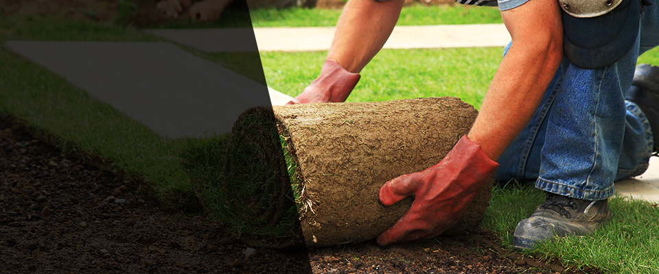 Saint Bernard Landscapers